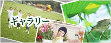 ギャラリー